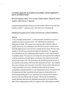 Cerebellar glomeruli: Does limited extracellular calcium implement a sparse encoding strategy? J.