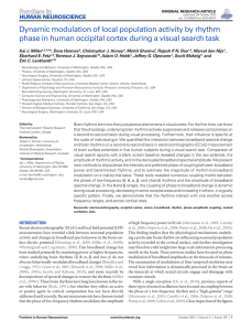 Dynamic modulation of local population activity by rhythm