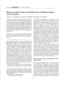 and Homosynaptic long-term depression in hippocampus mescsrtex *