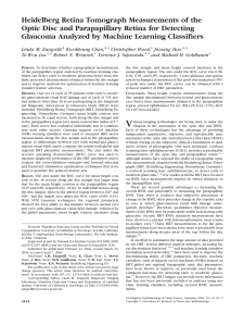 Heidelberg Retina Tomograph Measurements of the