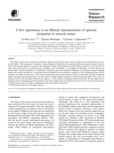 Color opponency is an eﬃcient representation of spectral Te-Won Lee