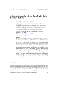 Motion detection and prediction through spike-timing dependent plasticity A P Shon