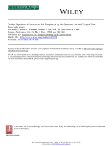 Gender Dependent Influences on Soil Phosphorus by the Dioecious Lowland... Simarouba amara