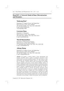 BoneNET: A Network Model of Bone Microstructure and Dynamics Taehyong Kim*