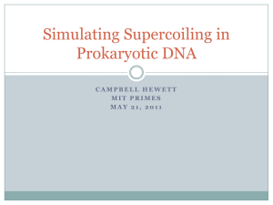 Simulating Supercoiling in Prokaryotic DNA