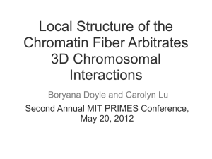 Local Structure of the Chromatin Fiber Arbitrates 3D Chromosomal Interactions