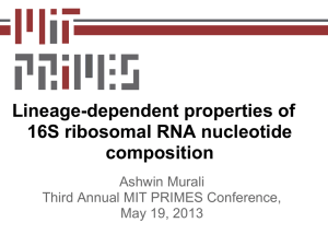 Lineage-dependent properties of 16S ribosomal RNA nucleotide composition Ashwin Murali
