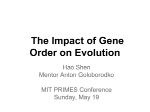 The Impact of Gene Order on Evolution Hao Shen Mentor Anton Goloborodko