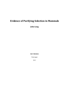 Evidence of Purifying Selection in Mammals    John Long 