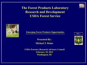 Emerging Forest Products Opportunities (pdf)