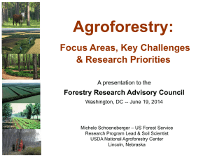 Agroforestry:  Focus Areas, Key Challenges &amp; Research Priorities