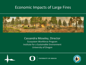 Economic Impacts of Large Fires Cassandra Moseley, Director Ecosystem Workforce Program