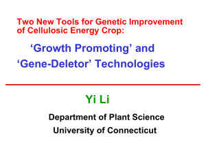Yi Li ‘Growth Promoting’ and ‘Gene-Deletor’ Technologies Two New Tools for Genetic Improvement