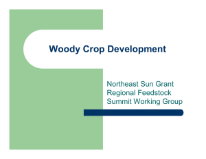 Woody Crop Development Northeast Sun Grant Regional Feedstock Summit Working Group