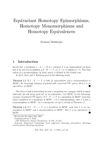 Equivariant Homotopy Epimorphisms, Homotopy Monomorphisms and Homotopy Equivalences 1