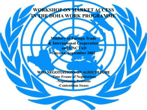 WORKSHOP ON MARKET ACCESS IN THE DOHA WORK PROGRAMME &amp; International Cooperation