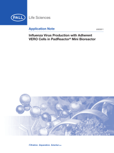 Application Note Influenza Virus Production with Adherent VERO Cells in PadReactor Mini Bioreactor