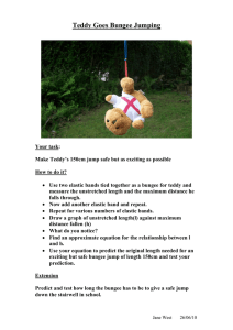 Teddy Goes Bungee Jumping