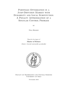 Portfolio Optimization in a Jump-Diffusion Market with Durability and Local Substitution: