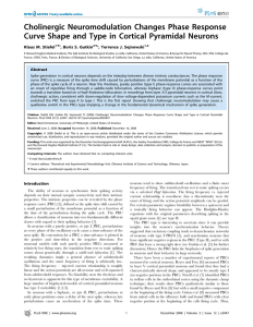 Cholinergic Neuromodulation Changes Phase Response Klaus M. Stiefel , Boris S. Gutkin