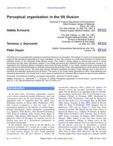 Perceptual organization in the tilt illusion