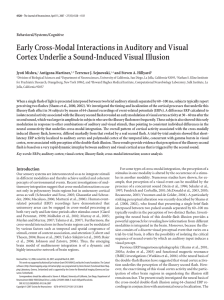 Early Cross-Modal Interactions in Auditory and Visual