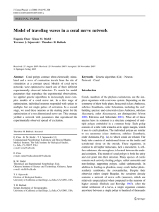 Model of traveling waves in a coral nerve network Eugenia Chen