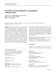 The effect of neural adaptation on population coding accuracy