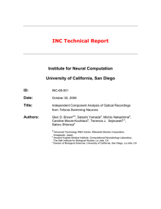 INC Technical Report Institute for Neural Computation University of California, San Diego