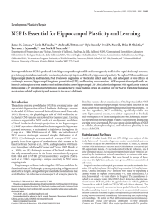 NGF Is Essential for Hippocampal Plasticity and Learning