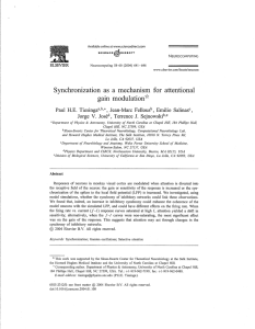 Synchronization  as  a  mechanism for  attentional