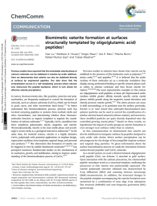 Biomimetic vaterite formation at surfaces structurally templated by oligo(glutamic acid) peptides† Hao Lu,