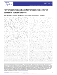 Ferromagnetic and antiferromagnetic order in bacterial vortex lattices LETTERS *