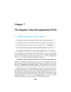 Chapter 7 The Singular Value Decomposition (SVD) 7.1 Image Processing by Linear Algebra