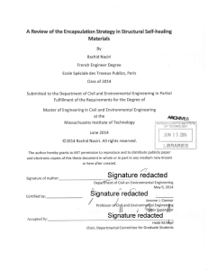A Review  of the Encapsulation  Strategy in Structural... Materials