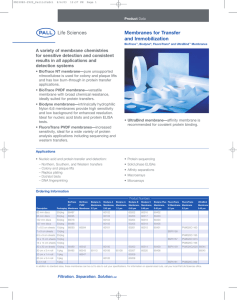 Membranes for Transfer and Immobilization