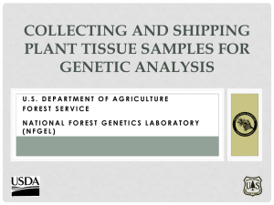 COLLECTING AND SHIPPING PLANT TISSUE SAMPLES FOR GENETIC ANALYSIS