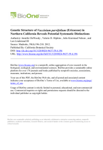 Vaccinium parvifolium Northern California Reveals Potential Systematic Distinctions