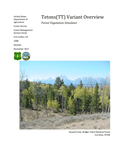 Tetons(TT) Variant Overview Forest Vegetation Simulator