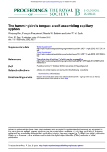 The hummingbird's tongue: a self-assembling capillary syphon doi: 10.1098/rspb.2012.1837