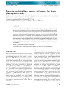 Formation and stability of oxygen-rich bubbles that shape photosynthetic mats