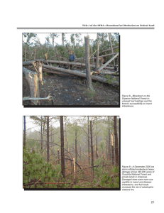 Figure 8—Blowdown on the Superior National Forest in- forest’s susceptibility to insect