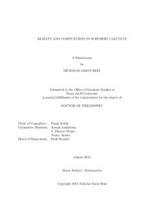 REALITY AND COMPUTATION IN SCHUBERT CALCULUS A Dissertation by NICKOLAS JASON HEIN