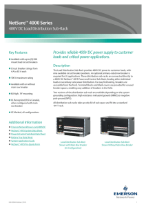 NetSure 4000 Series 400V DC Load Distribution Sub-Rack