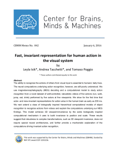 Fast,	invariant	representation	for	human	action	in the	visual	system by Leyla	Isik*,	Andrea	Tacchetti*,	and	Tomaso	Poggio