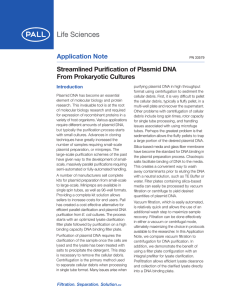 Application Note Streamlined Purification of Plasmid DNA From Prokaryotic Cultures Introduction