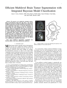 Efficient Multilevel Brain Tumor Segmentation with Integrated Bayesian Model Classification