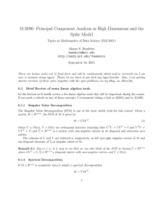 18.S096: Principal Component Analysis in High Dimensions and the Spike Model