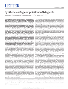 LETTER Synthetic analog computation in living cells