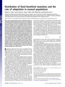 Distribution of fixed beneficial mutations and the Benjamin H. Good